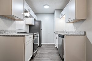 TheChoir SulphurSprings TX Apartment Homes Kitchen